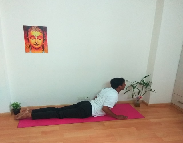 Bhujangasana cobra pose